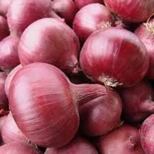 onion red